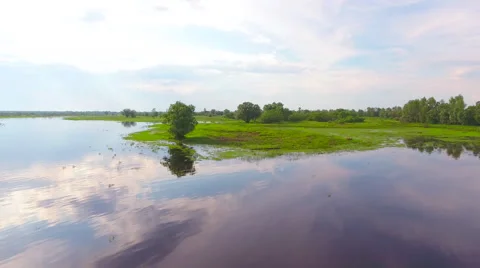 Aerial View. Flying over the green trees above the river at dawn with Stock Footage 63821801