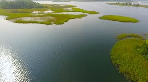 Aerial View. Flying over the green trees above the river at dawn with Stock Footage 65442939