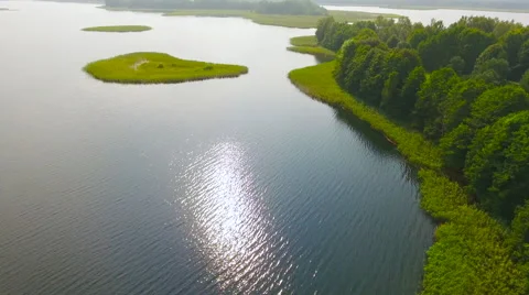 Aerial View. Flying over the green trees above the river at dawn with Stock Footage 65442958