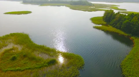 Aerial View. Flying over the green trees above the river at dawn with Stock Footage 65442995