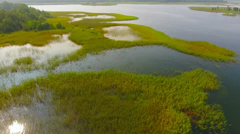 Aerial View. Flying over the green trees above the river at dawn with Stock Footage 65443266