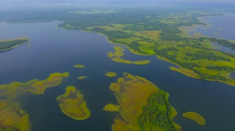 Aerial View. Flying over the green trees above the river at dawn with Stock Footage 65443467