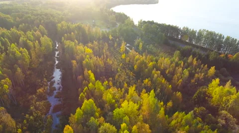 Aerial View. Flying over the green trees above the river at dawn with Stock Footage 68351680