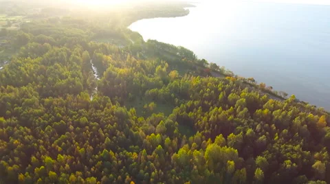 Aerial View. Flying over the green trees above the river at dawn with Stock Footage 68360784