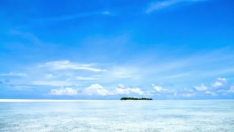 Aerial view flying over green pine trees towards lake Video stock 333816136