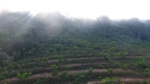 Aerial View. Flying over the high mountains in beautiful clouds . Видео 89717414