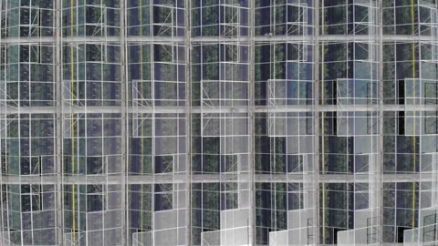 Aerial View Flying Over Large Greenhouse With Vegetables, Greenhouse With T.. Stock Footage 328117973