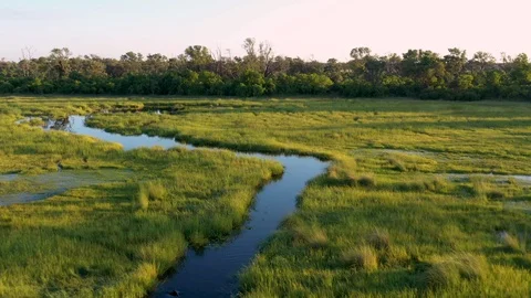 Aerial view flying over the lush green landscape and waterways in the Okavango Stock Footage 127989764