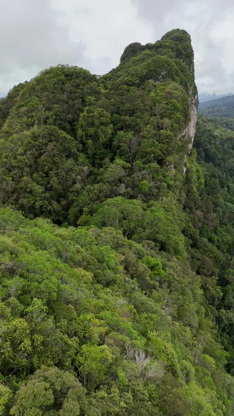 Aerial View Flying Over Lush Green Mountain Ridge in Khao Sok, Thailand Stock Footage 335962632