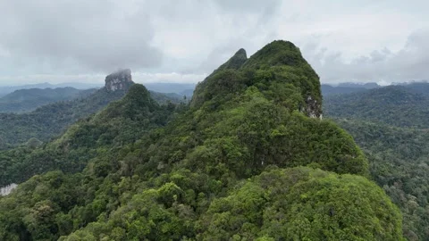 Aerial View Flying Over Lush Green Mountain Forest in Khao Sok, Thailand Stock Footage 335962791
