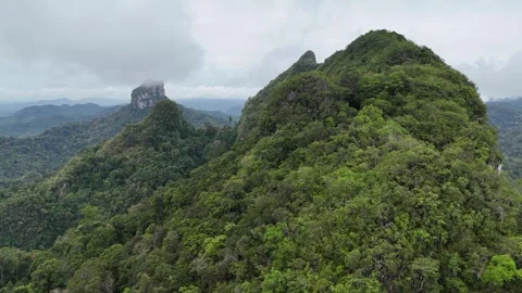 Aerial View Flying Over Lush Green Tropical Rainforest Mountains in Khao Sok, Stock Footage 335962799