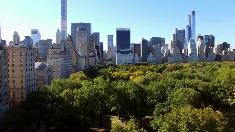 Aerial view flying over lush green trees in Central Park in New York City Stockbeeldmateriaal 342897977