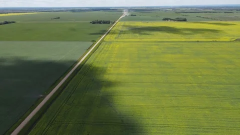 Aerial view flying over many large farm fields planted with canola, wheat, Stock Footage 275411018