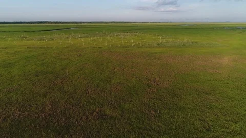 Aerial View Flying over the Marsh and Delaware Bay Beach New Jersey Stock Footage 78018485