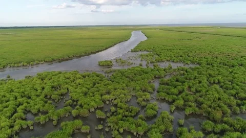 Aerial View Flying over the Marsh and Delaware Bay Beach New Jersey Stock Footage 78018557