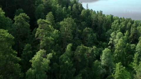 Aerial View. Flying over the mountain lake. Aerial camera shot. Altai, Siberia. Stock Footage 33851495