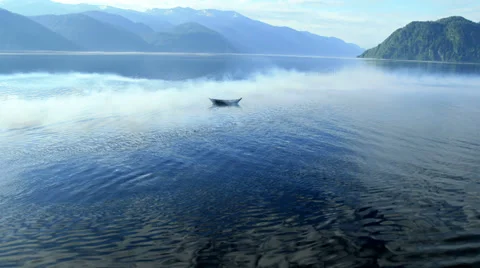 Aerial View. Flying over the mountain lake. Aerial camera shot. Altai, Siberia. Stock Footage 33911901