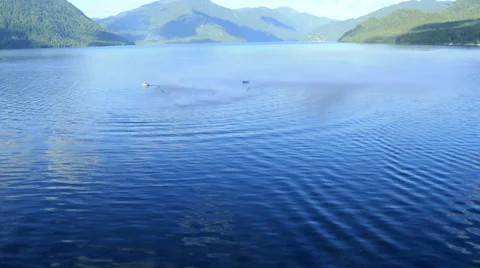 Aerial View. Flying over the mountain lake. Aerial camera shot. Altai, Siberia. Stock Footage 33980419
