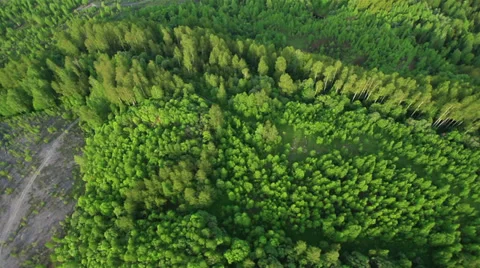 Aerial View. Flying over the Mountain Shoria, forest, taiga, river. Stock Footage 38059247