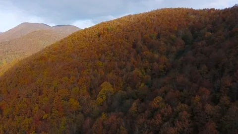 Aerial View. Flying over the mountain Aibga Krasnaya Polyana in Sochi. Stock Footage 71323682