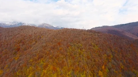 Aerial View. Flying over the mountain Aibga Krasnaya Polyana in Sochi. Stock Footage 71327673