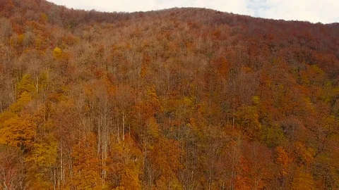 Aerial View. Flying over the mountain Aibga Krasnaya Polyana in Sochi. Stock Footage 71328129