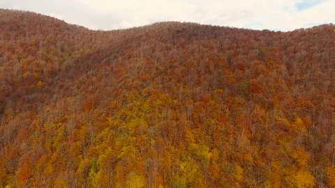 Aerial View. Flying over the mountain Aibga Krasnaya Polyana in Sochi. Stock Footage 71328440