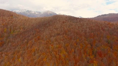 Aerial View. Flying over the mountain Aibga Krasnaya Polyana in Sochi. Stock Footage 71338075