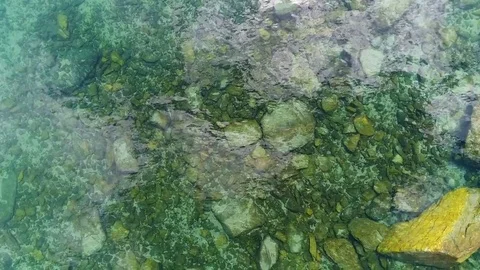 Aerial View. Flying over the Mountain Lake. Altai. Siberia. Karakolsky Lakes Stock Footage 77492697