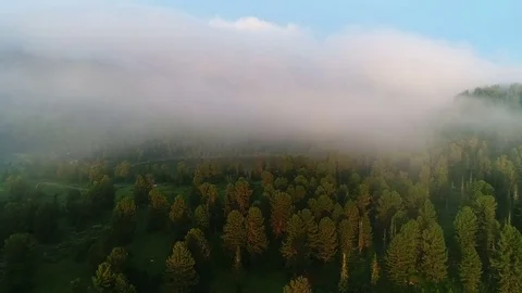 Aerial View. Flying over the Mountain Lake. Altai. Siberia. Karakolsky Lakes Stock Footage 77492780