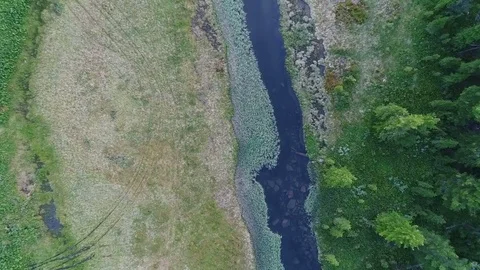 Aerial View. Flying over the Mountain Lake. Altai. Karakolsky Lakes Expedition Stock Footage 79133706