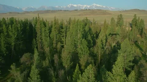 Aerial View. Flying over the Mountains and Forest Valley. Altai, Siberia. Stock Footage 12567972