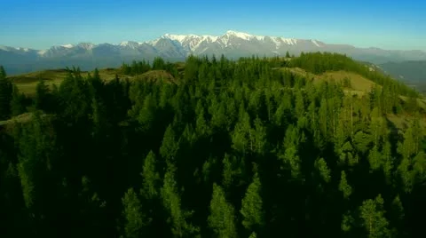 Aerial View. Flying over the Mountains and Forest Valley. Altai, Siberia. Stock Footage