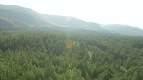Aerial View. Flying over the Mountains and Forest Valley. Altai, Siberia. Free Stock Footage 33402477