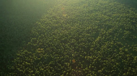 Aerial View. Flying over the Mountains and Forest Valley. Altai, Siberia. Stock Footage 34375000