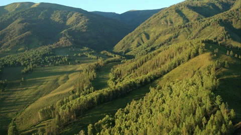 Aerial View. Flying over the Mountains and Forest Valley. Altai, Siberia. Stock Footage 34375276