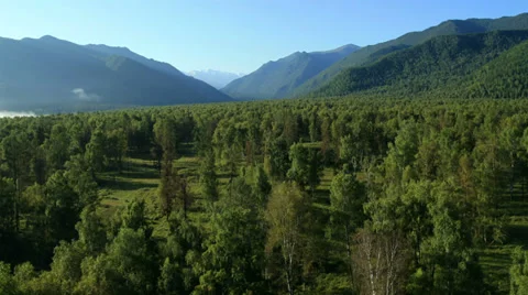 Aerial View. Flying over the Mountains and Forest Valley. Altai, Siberia. Free Stock Footage 34427065