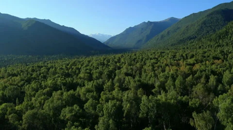 Aerial View. Flying over the Mountains and Forest Valley. Altai, Siberia. Stock Footage 34427110