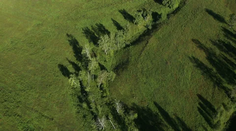 Aerial View. Flying over the Mountains and Forest Valley. Altai, Siberia. Stock Footage 34453768