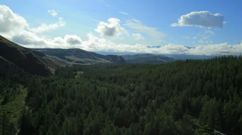 Aerial View. Flying over the Mountains and Forest Valley. Altai, Siberia. Stock Footage 53103290