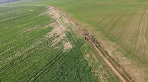 Aerial view flying over MTB marathon by HeliDog_Aerials Stock Footage 10922157