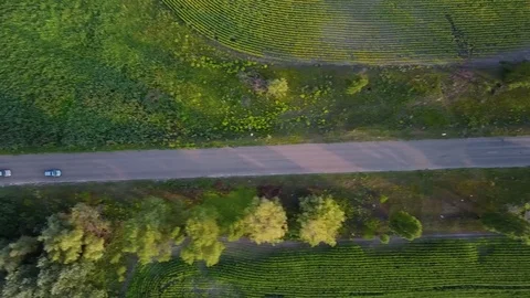 Aerial view flying over old two lane forest road moving green trees and fields Stock Footage 80908615