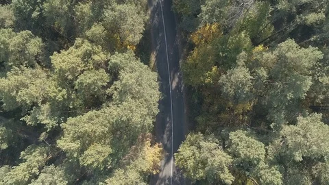 Aerial view flying over old patched two lane forest road with car moving green Stock Footage 96986050