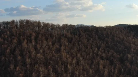 Aerial view flying over old forest road . Stock Footage 107044640