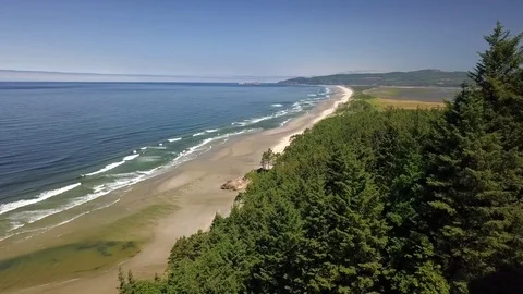 Aerial view flying over pine trees by empty beach Video stock 77926412