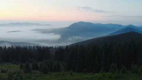 Aerial View. Flying over the pine forest In high mountains in beautiful clouds Stock Footage 98595774