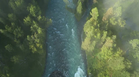 Aerial View: Flying over the River. Forest Valley. Morning Fog. Stock Footage