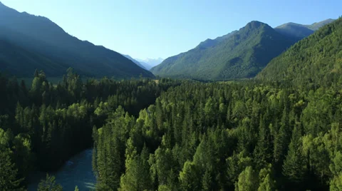 Aerial View: Flying over the River. Forest Valley. Morning Fog. Stock Footage 34433562