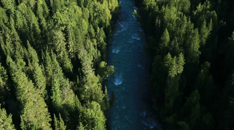 Aerial View: Flying over the River. Forest Valley. Morning Fog. Stock Footage