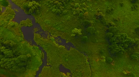 Aerial View. Flying over the river green trees at sunset with sun. Stock Footage 65488328